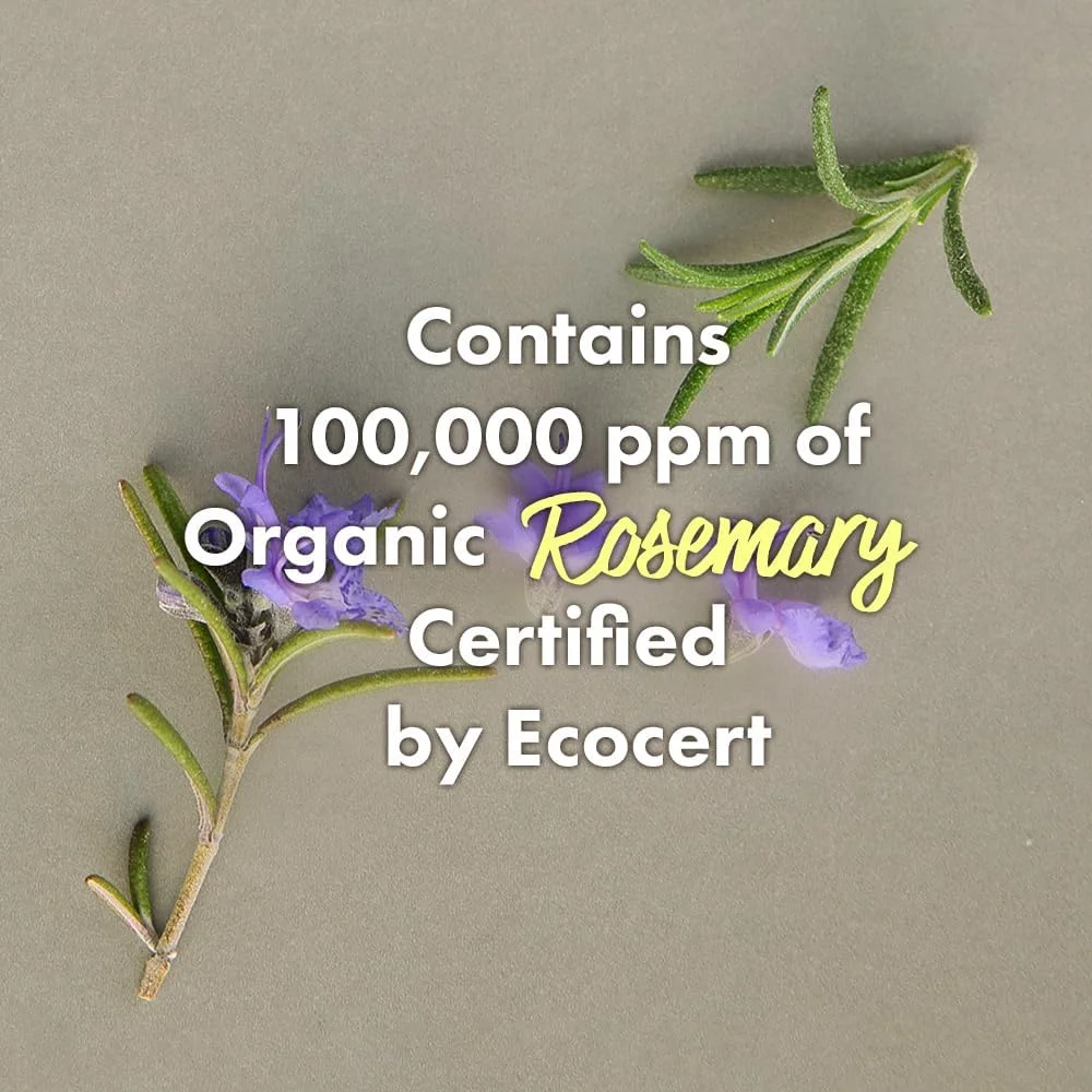 ماسک موی سر رزماری RATED GREEN - متعادل کننده پوست سر - تیوپی - 200 میلی لیتر. رزماری ارگانیک دم کرده سرد با زغال چوب برای پوست سر چرب - ماسک نرم کننده مو برای زنان و مردان