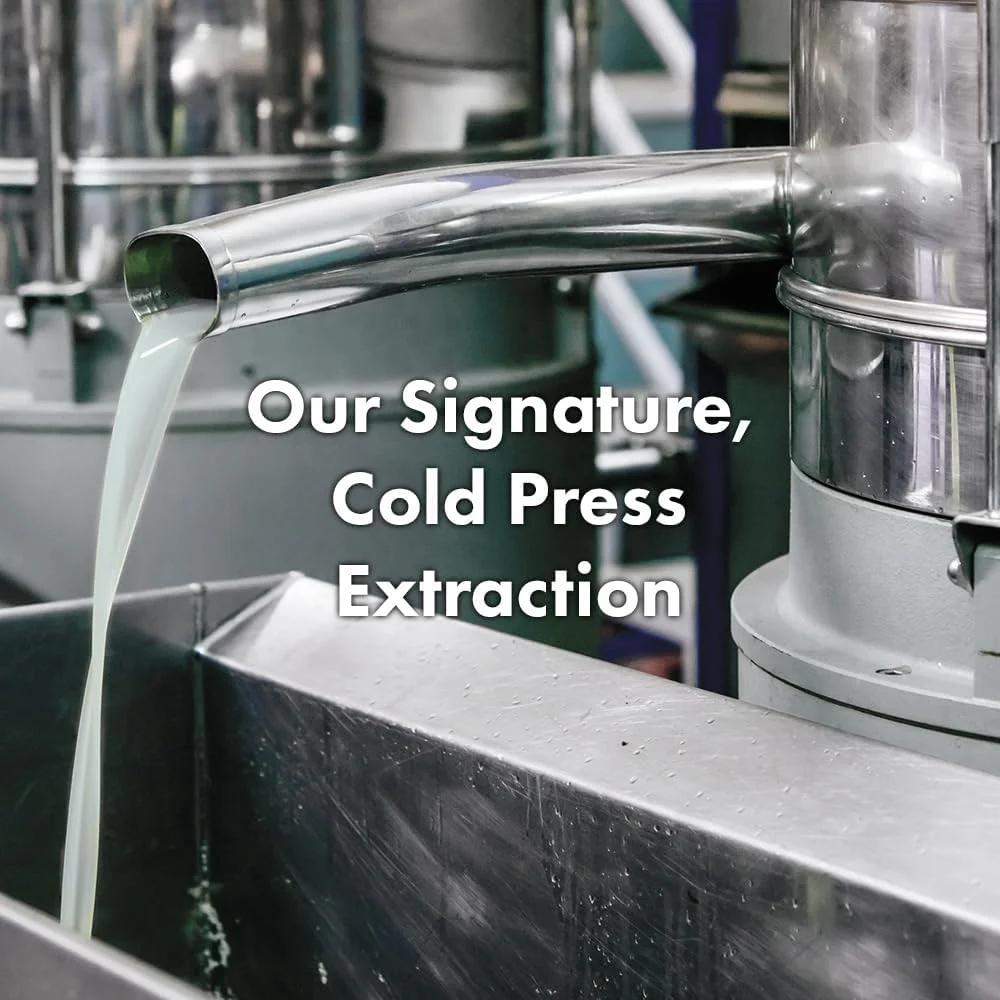 نرم کننده و تسکین دهنده پوست سر حاوی روغن تامانو و انگور فرنگی سیاه ریتد گرین - 200 میلی لیتر - مناسب انواع مو