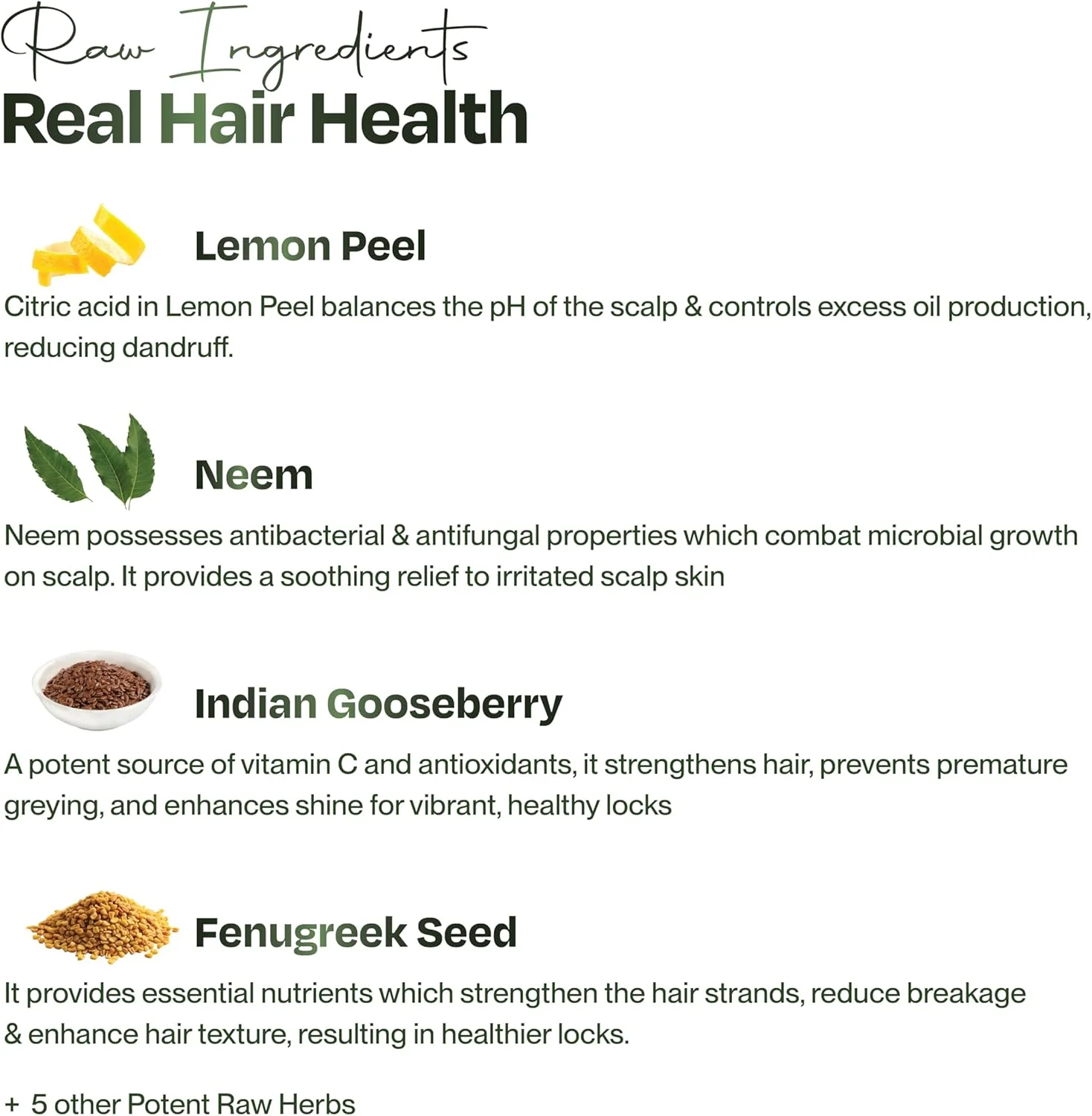 ماسک موی سر قبل از شامپو Sacred Grove ضد شوره سر با عصاره چریش و پوست لیمو | مناسب برای پوست سر خارش دار و پوسته پوسته | مناسب برای آقایان و بانوان | 200 گرم ماسک موی سر قبل از شامپو Sacred Grove ضد شوره سر با عصاره چریش و پوست لیمو | مناسب برای پوست سر خارش دار و پوسته پوسته | مناسب برای آقایان و بانوان | 200 گرم