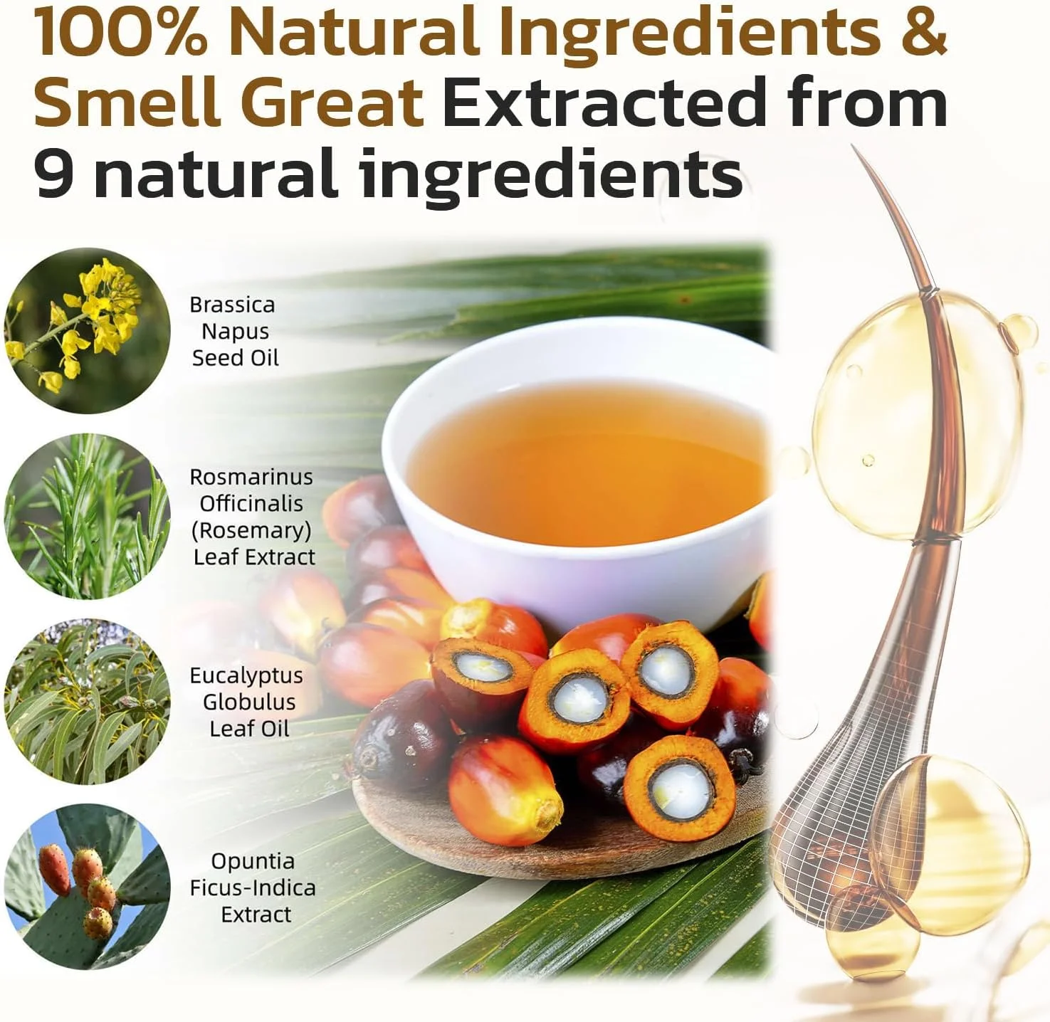 مجموعه ۴ عددی روغن باتانا برای رشد مو، ۱۶۰ میلی لیتر روغن باتانا خام + ۱۵۰ گرم خمیر، برس مژه و ابرو، ۱۰۰٪ روغن بوتانا خالص و طبیعی برای پوست سر، لبه ها و ابروها، تغذیه عمیق پوست سر برای موهای ضخیم تر