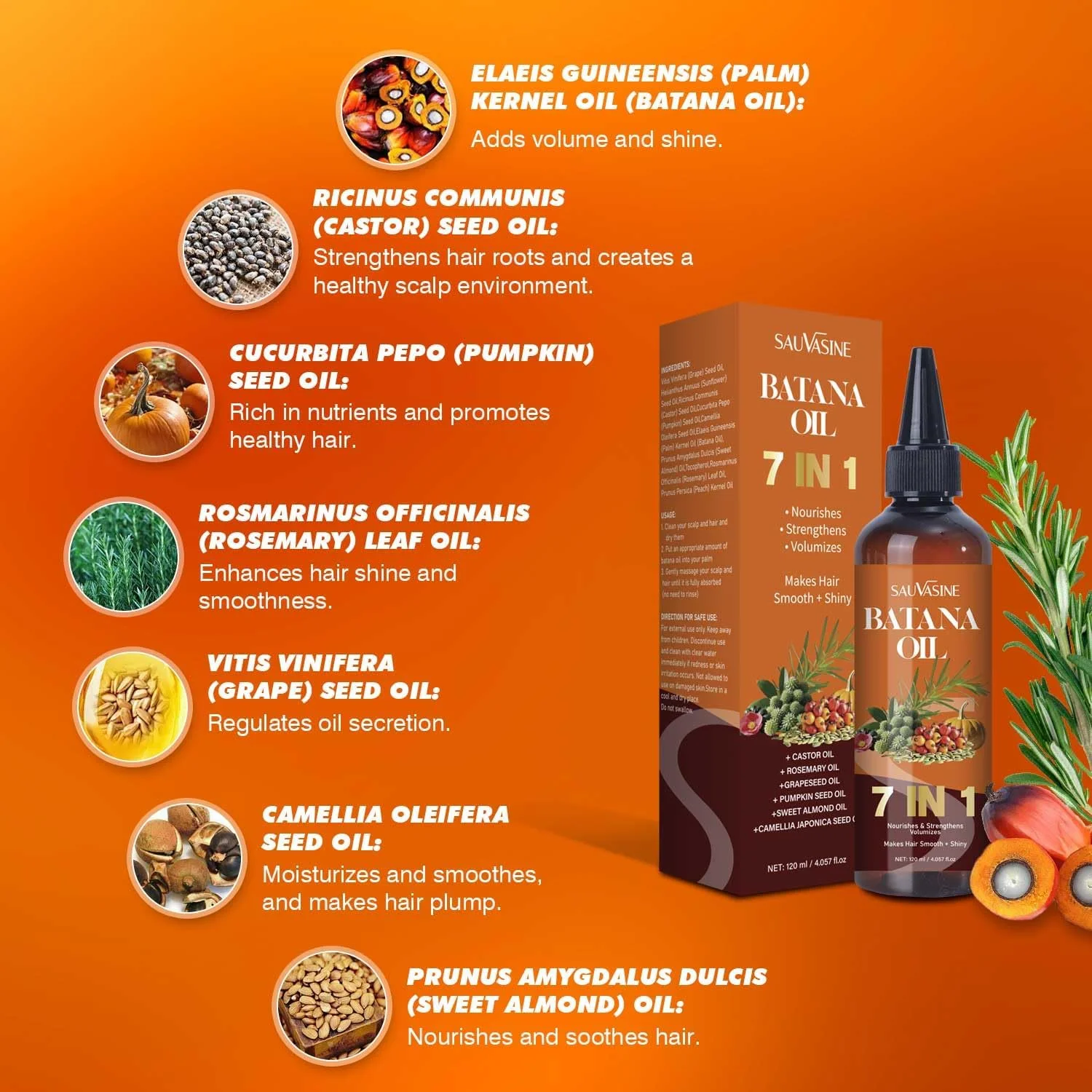 روغن باتانا برای رشد مو، روغن موی 7 در 1 برای زنان و مردان حاوی رزماری، کرچک و روغن تخم کدو تنبل، جلوگیری از خشکی و ریزش مو برای انواع مو 120 میلی لیتر روغن باتانا برای رشد مو، روغن موی 7 در 1 برای زنان و مردان حاوی رزماری، کرچک و روغن تخم کدو تنبل، جلوگیری از خشکی و ریزش مو برای انواع مو 120 میلی لیتر