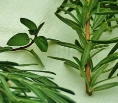 روغن مراقبتی (رزماری نعناع با بیوتین 50 میلی لیتر)