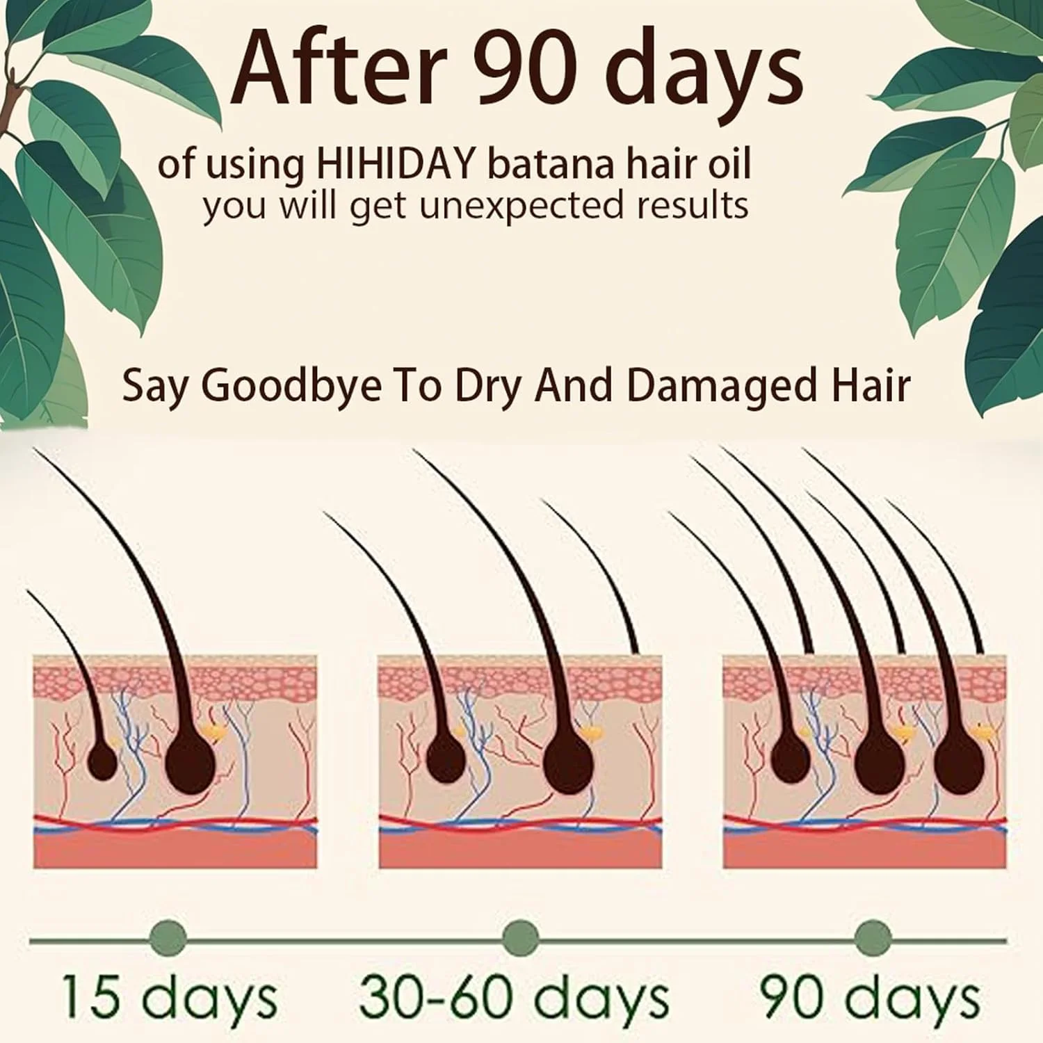 روغن باتانا ارگانیک HIHIDAY، 2 عدد، 100% طبیعی، مراقبت از مو، روغن باتانای خام از هندوراس، مناسب موهای نازک، ترمیم موهای آسیب دیده، خشک و شکننده (2 عدد)