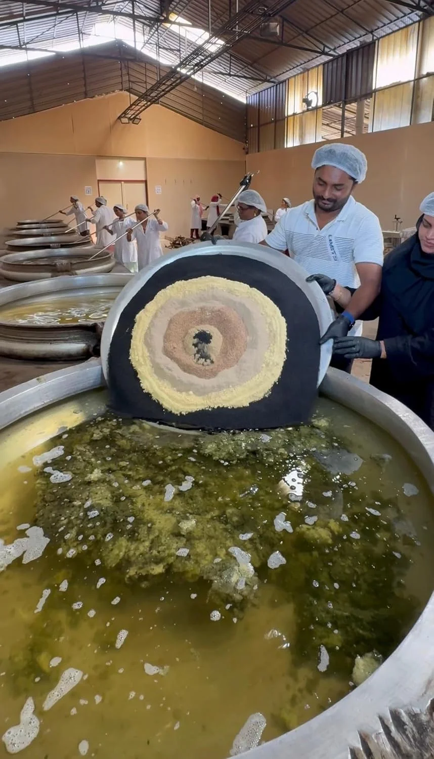 روغن مراقبت از موی طبیعی ام اس 500 میلی لیتر (250 میلی لیتر * 2)، درمان 100% گیاهی برای ریزش مو و شوره سر