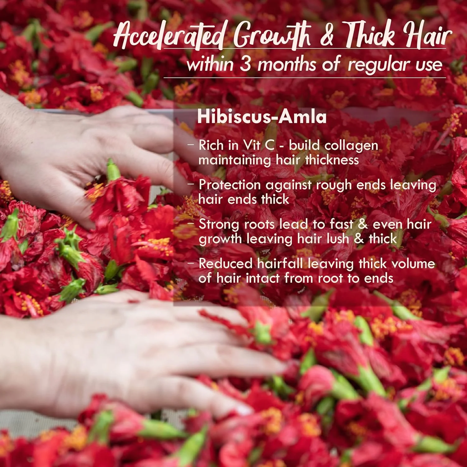 روغن موی تابستانی هیبیسکوس آملا نات هبیت برای آقایان و بانوان، کمک به رشد و ضخامت مو، مناسب برای انواع مو، بدون پارافین، روغن معدنی، مواد نگهدارنده و مواد شیمیایی، 200 میلی لیتر