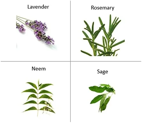 روغن مغذی مو و پوست سر ارگانیک اورگانیک فارمسی ۱۰۰ میلی لیتر