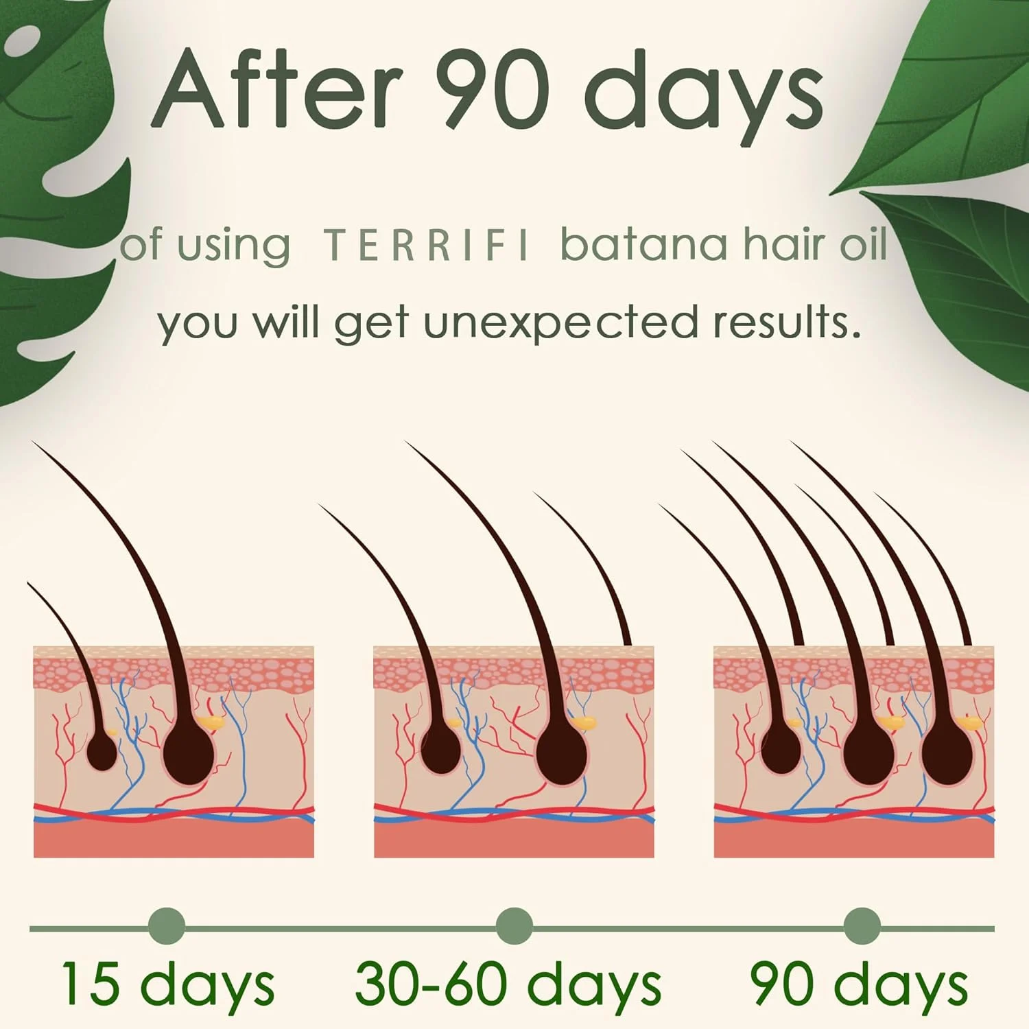 2Pcs Organic Batana Oil for Hair Growth, Pure Organic Hair Growth Solution from Honduras, Promotes Hair Wellness for Men & Women, Enhances Hair & Skin Radiance (2.0 Oz) 2Pcs Organic Batana Oil for Hair Growth, Pure Organic Hair Growth Solution from Honduras, Promotes Hair Wellness for Men & Women, Enhances Hair & Skin Radiance (2.0 Oz)