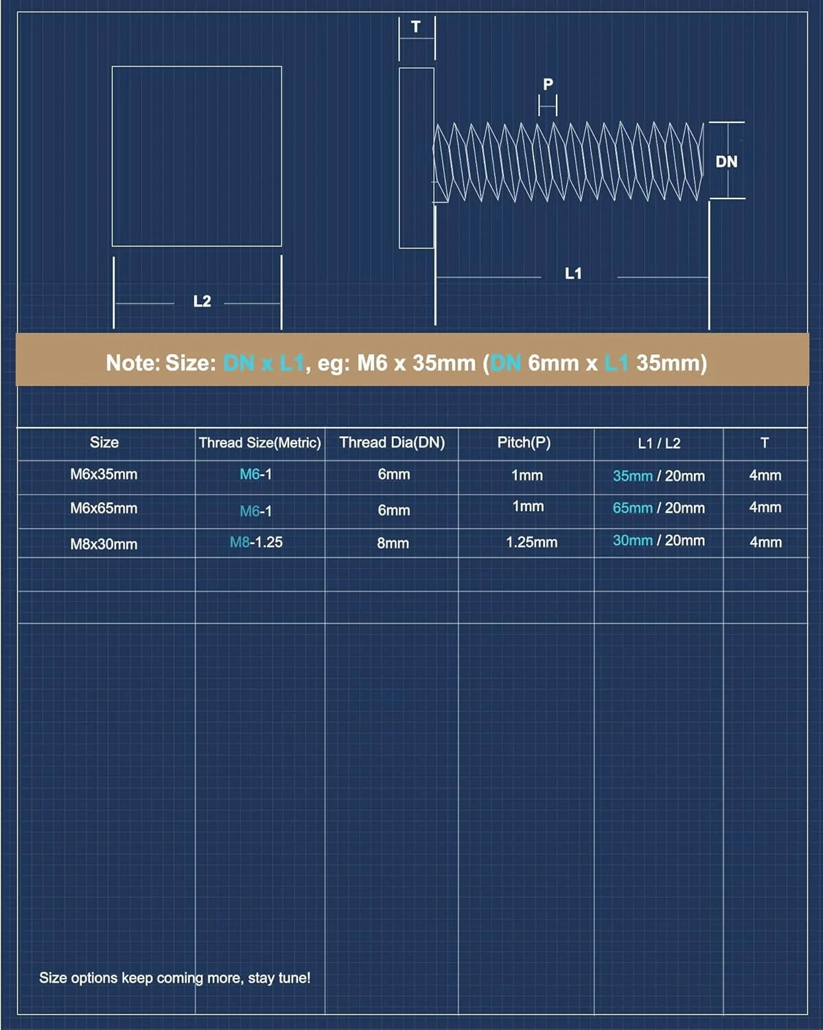 پیچ های T شکل برای میله های باربند سقفی Thule و Yakima، پلتفرم، سبد بار، آداپتور پیچ T شکل استیل ضد زنگ مربعی برای محکم کردن باربند دوچرخه/اسکی/قایق کایاک، پنل خورشیدی، سایبان