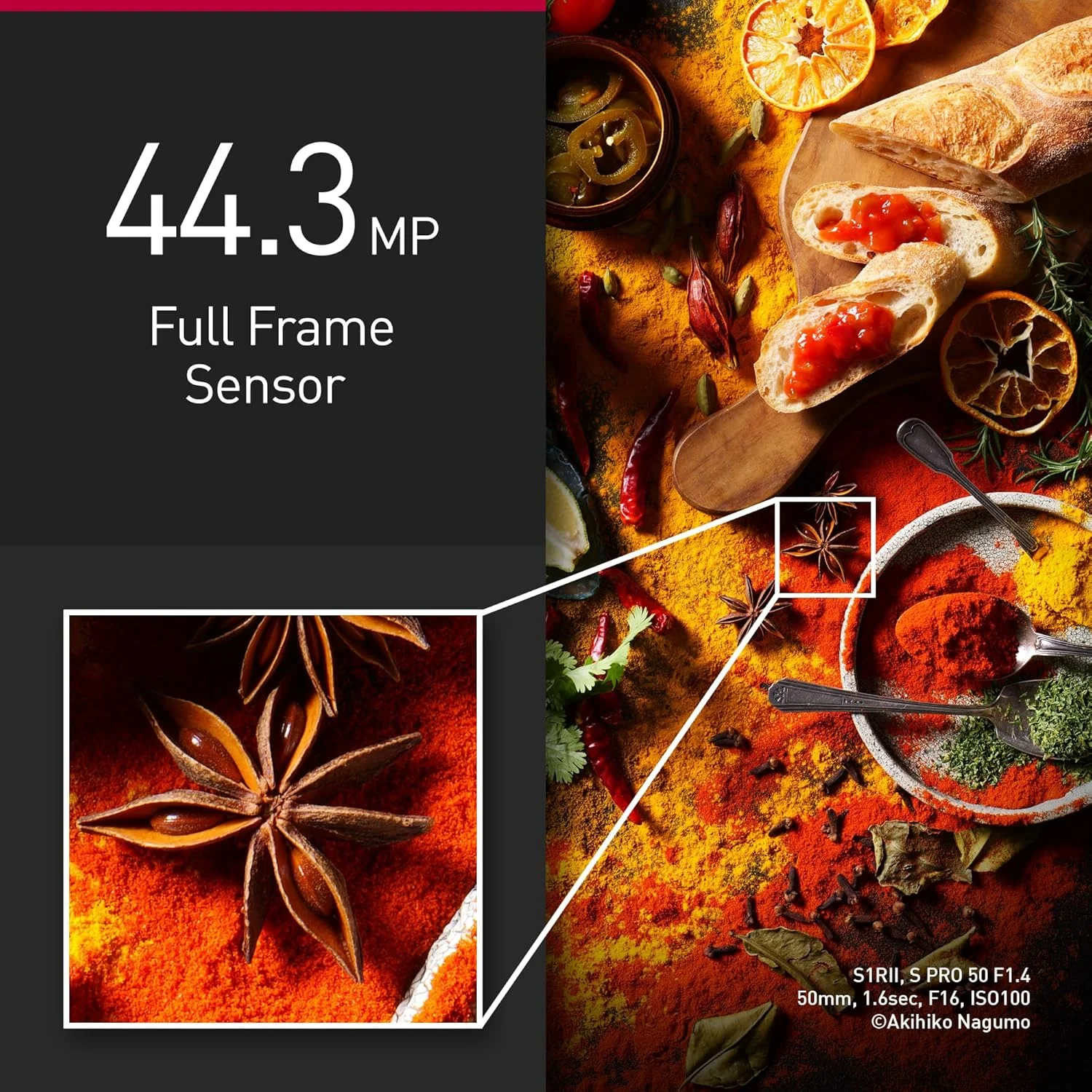 دوربین بدون آینه حرفه ای پاناسونیک LUMIX S1RII با لنز 24-105mm F4، دوربین عکاسی دیجیتال فول فریم 44.3 مگاپیکسلی، فیلمبرداری 8K، فوکوس خودکار هیبریدی فازی، لرزشگیر دوگانه 8.0 استاپ، منظره یاب الکترونیکی OLED دوربین بدون آینه حرفه ای پاناسونیک LUMIX S1RII با لنز 24-105mm F4، دوربین عکاسی دیجیتال فول فریم 44.3 مگاپیکسلی، فیلمبرداری 8K، فوکوس خودکار هیبریدی فازی، لرزشگیر دوگانه 8.0 استاپ، منظره یاب الکترونیکی OLED