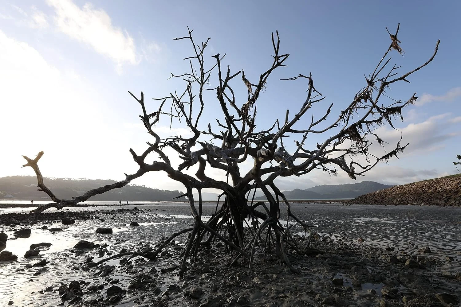 دوربین دیجیتال تک لنزی بازتابی کانن Eos 5D Mark IV، دوربین فول فریم سریع و همه کاره، 30.4 مگاپیکسل، 4K، وای فای، GPS