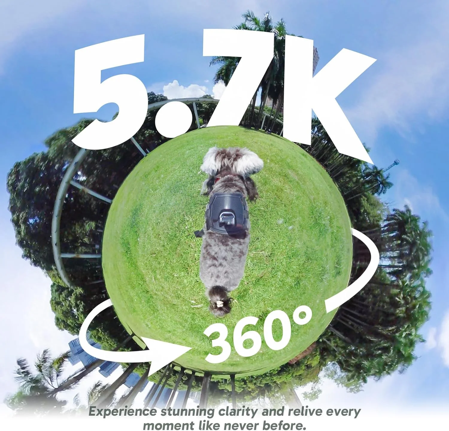 دوربین اکشن 360 درجه ضد آب AKASO - فیلم 360 درجه 5.7K با سنسورهای 1/2 اینچی 48 مگاپیکسلی، عکس 360 درجه 72 مگاپیکسلی، 360-SuperSmooth، صفحه لمسی 2.29 اینچی، قفل افق 360 درجه، ردیابی هوش مصنوعی، با کارت MicroSD 256 گیگابایتی دوربین اکشن 360 درجه ضد آب AKASO - فیلم 360 درجه 5.7K با سنسورهای 1/2 اینچی 48 مگاپیکسلی، عکس 360 درجه 72 مگاپیکسلی، 360-SuperSmooth، صفحه لمسی 2.29 اینچی، قفل افق 360 درجه، ردیابی هوش مصنوعی، با کارت MicroSD 256 گیگابایتی