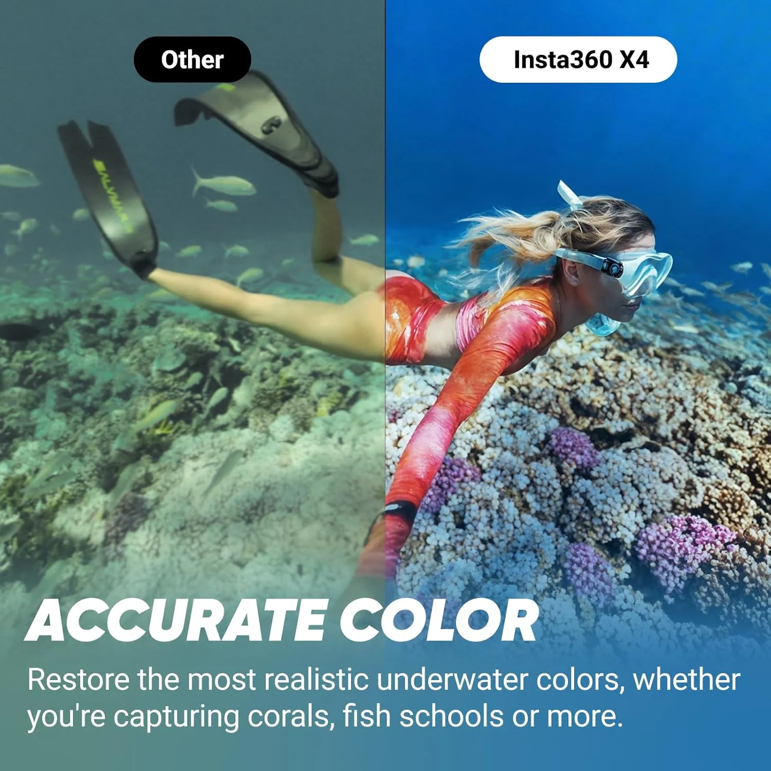 بسته غواصی نامرئی Insta360 X4 - دوربین اکشن 360 ضد آب 8K، ویدئو 4K با زاویه دید عریض، مونوپاد نامرئی، محافظ لنز قابل جابجایی، عمر باتری 135 دقیقه، ویرایش هوش مصنوعی، تثبیت کننده بسته غواصی نامرئی Insta360 X4 - دوربین اکشن 360 ضد آب 8K، ویدئو 4K با زاویه دید عریض، مونوپاد نامرئی، محافظ لنز قابل جابجایی، عمر باتری 135 دقیقه، ویرایش هوش مصنوعی، تثبیت کننده