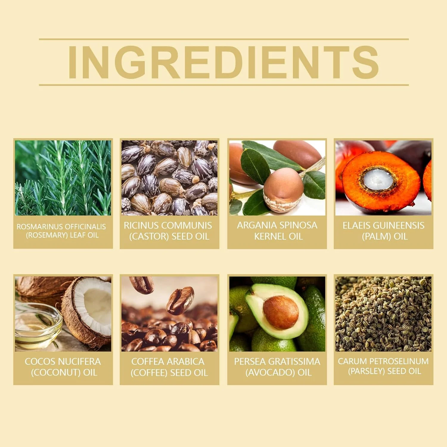 روغن تقویت کننده مو ویگنیک با مواد طبیعی خالص، فرمول ویگنیک آزونی برای آقایان و بانوان، غنی شده با روغن های رزماری، کرچک، آرگان، نارگیل، آووکادو و دانه قهوه