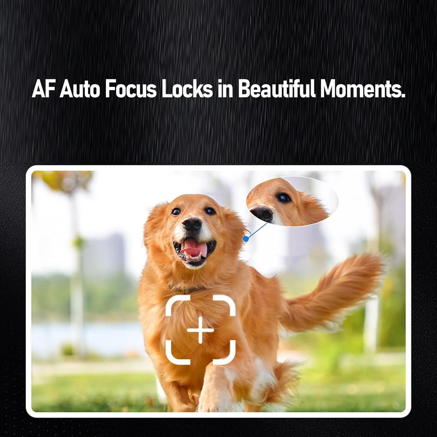 دوربین فیلمبرداری، HD 4K 53MP زوم دیجیتال 50X فوکوس خودکار دوربین ولاگ دیجیتال برای یوتیوب با رابط اکسترنال هات شو، صفحه نمایش 3 اینچی، باتری 2500mAh (مشکی) دوربین فیلمبرداری، HD 4K 53MP زوم دیجیتال 50X فوکوس خودکار دوربین ولاگ دیجیتال برای یوتیوب با رابط اکسترنال هات شو، صفحه نمایش 3 اینچی، باتری 2500mAh (مشکی)