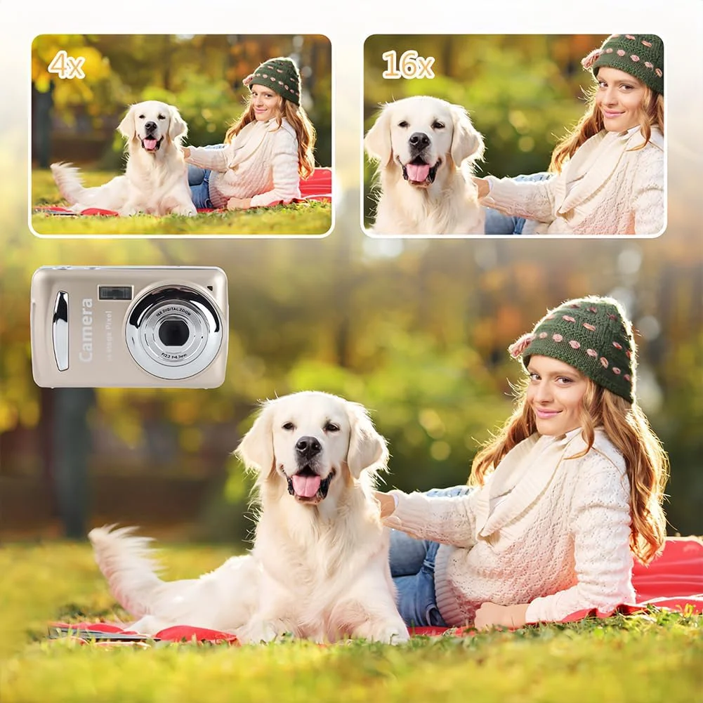 دوربین فیلمبرداری دیجیتال 16X با کیفیت بالا، دوربین فیلمبرداری 720P با صفحه نمایش 2.4 اینچی و زوم دیجیتال برای نوارهای VCR VHS AV RCA DVD (طلایی) دوربین فیلمبرداری دیجیتال 16X با کیفیت بالا، دوربین فیلمبرداری 720P با صفحه نمایش 2.4 اینچی و زوم دیجیتال برای نوارهای VCR VHS AV RCA DVD (طلایی)