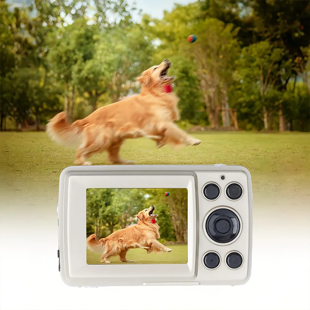 دوربین فیلمبرداری دیجیتال 16X با کیفیت بالا، دوربین فیلمبرداری 720P با صفحه نمایش 2.4 اینچی و زوم دیجیتال برای نوارهای VCR VHS AV RCA DVD (طلایی) دوربین فیلمبرداری دیجیتال 16X با کیفیت بالا، دوربین فیلمبرداری 720P با صفحه نمایش 2.4 اینچی و زوم دیجیتال برای نوارهای VCR VHS AV RCA DVD (طلایی)