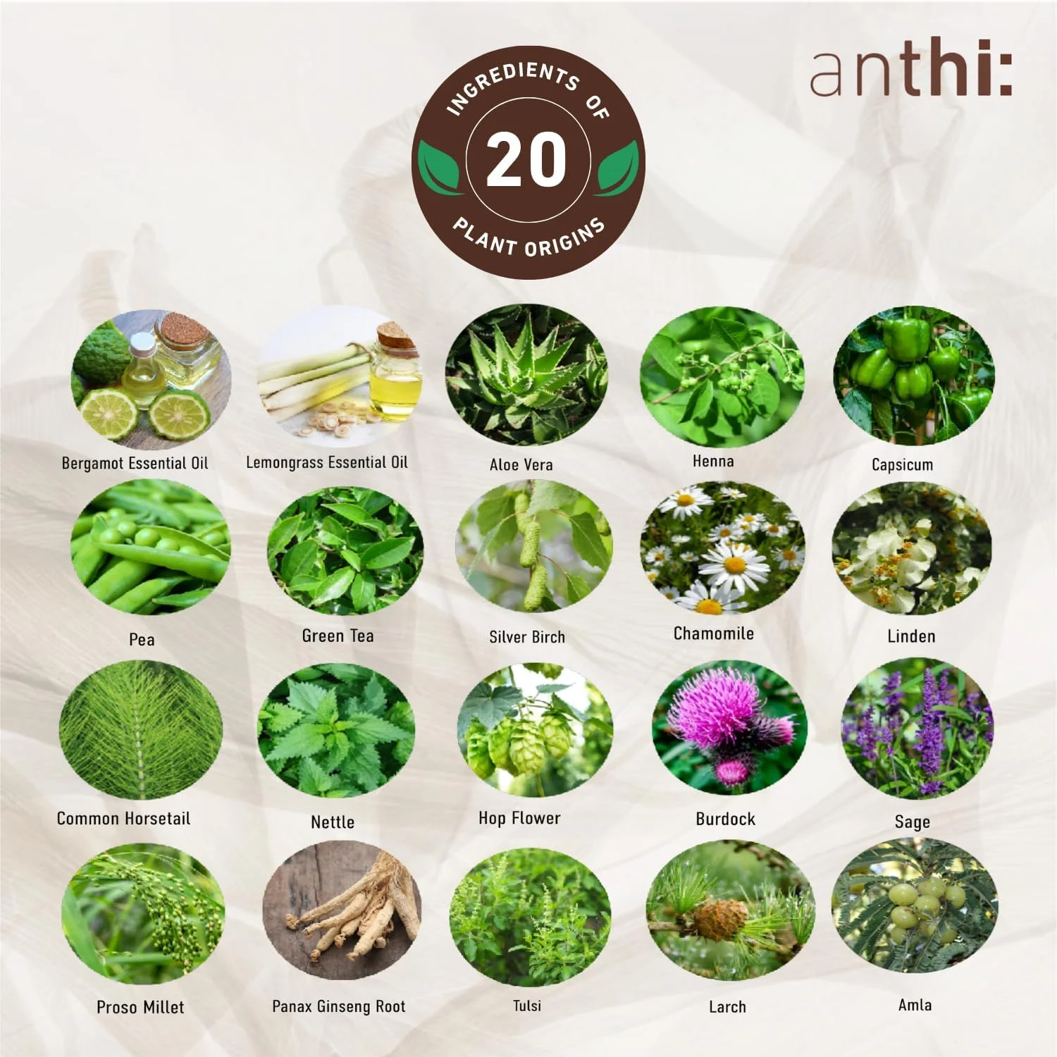 سرم موی آنتی برای جلوگیری از نازک شدن مو، درمان محرک ضخیم شدن و رشد مو، سرم فشرده با منشاء گیاهی، 40 میلی لیتر، 120 گرم سرم موی آنتی برای جلوگیری از نازک شدن مو، درمان محرک ضخیم شدن و رشد مو، سرم فشرده با منشاء گیاهی، 40 میلی لیتر، 120 گرم