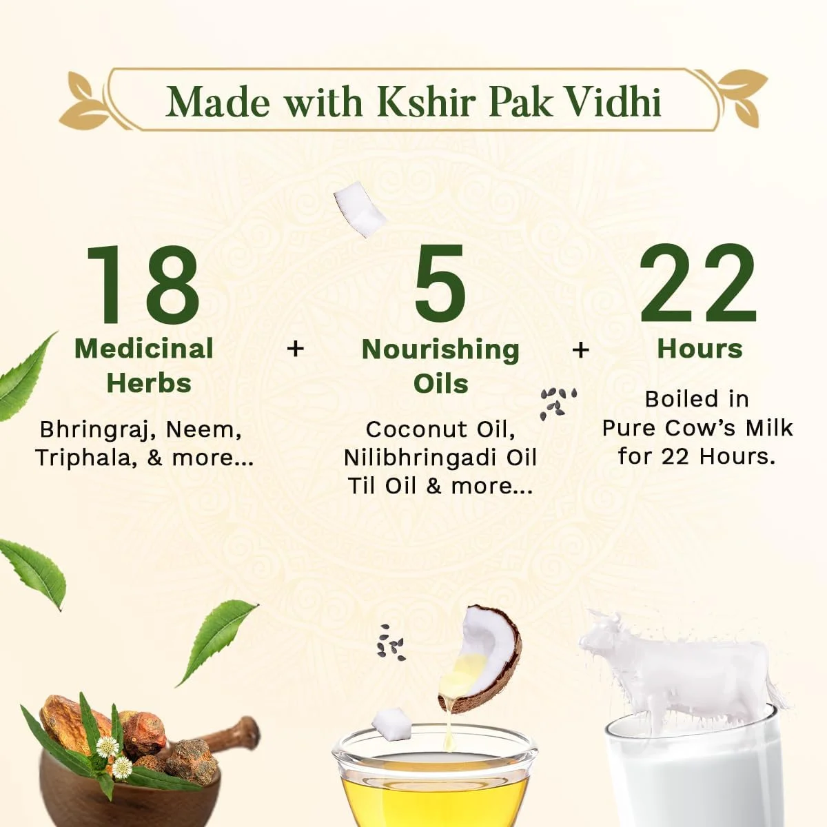 روغن موی آیورودیک SESA 200 میلی لیتر + سرم موی رایگان 20 میلی لیتر | حاوی برینگراج و 17 گیاه، نارگیل و روغن های مغذی | کمک به کاهش ریزش مو، پشتیبانی از رشد مو | شامل اپلیکاتور آسان