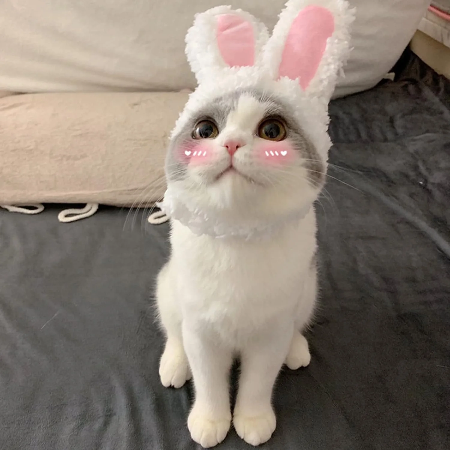 هدبند گوش خرگوشی پولیشی جذاب KASTWAVE برای گربه ها و سگ های کوچک - لوازم جانبی عالی برای لباس هالووین حیوانات خانگی هدبند گوش خرگوشی پولیشی جذاب KASTWAVE برای گربه ها و سگ های کوچک - لوازم جانبی عالی برای لباس هالووین حیوانات خانگی