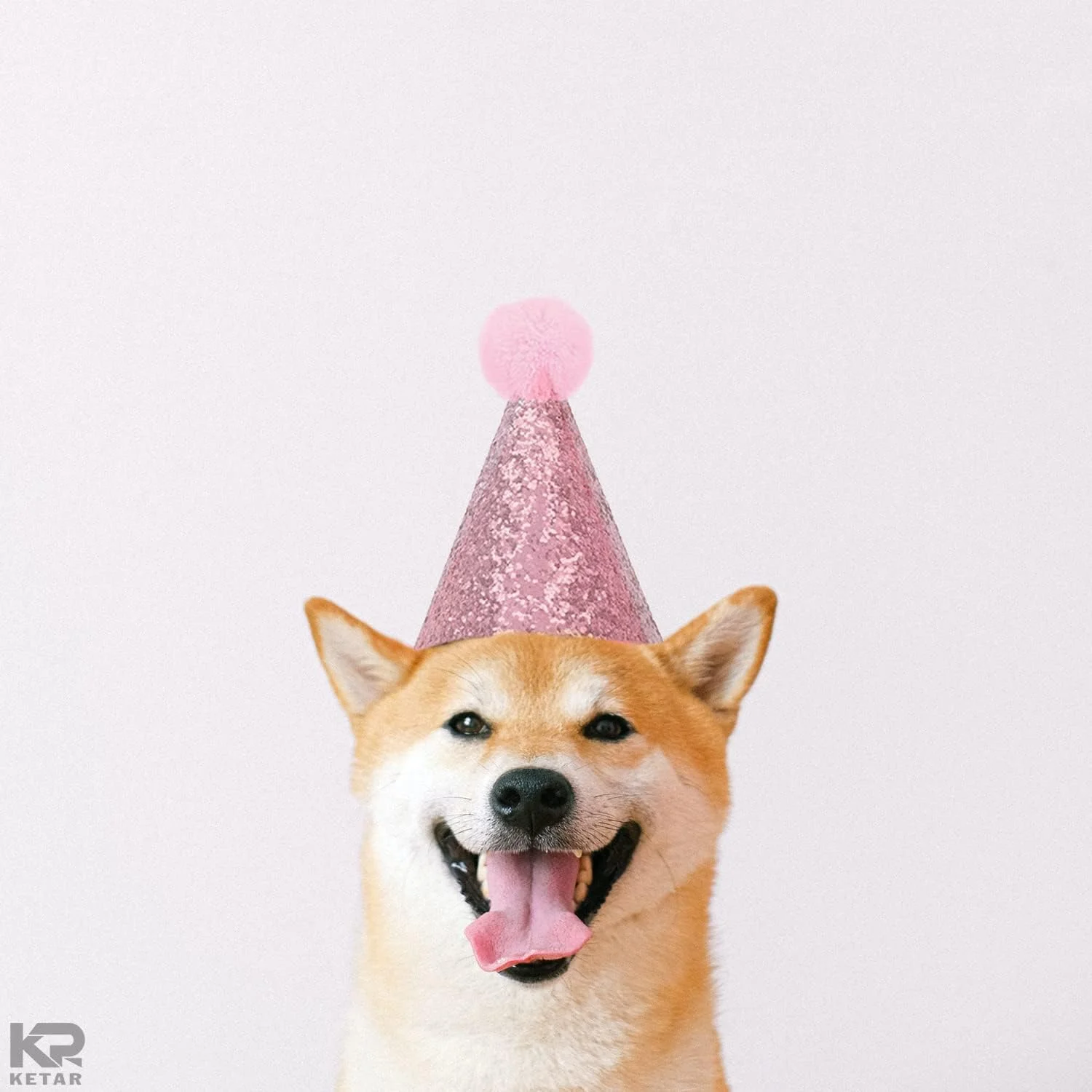 کلاه تولد سگ و گربه KASTWAVE - 2 عدد کلاه حیوانات خانگی قابل استفاده مجدد برای مهمانی ها، تزئینات و لوازم (طلایی و صورتی) کلاه تولد سگ و گربه KASTWAVE - 2 عدد کلاه حیوانات خانگی قابل استفاده مجدد برای مهمانی ها، تزئینات و لوازم (طلایی و صورتی)