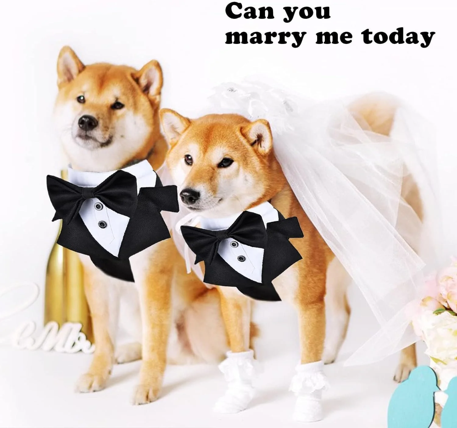 هارنس تاکسیدو حیوانات خانگی برای عروسی، هارنس تاکسیدو سگ با قلاده، لباس رسمی سگ برای عروسی، لباس سگ سایز کوچک و متوسط، تاکسیدو لباس عروسی برای سگ ها، مناسب برای مهمانی ها