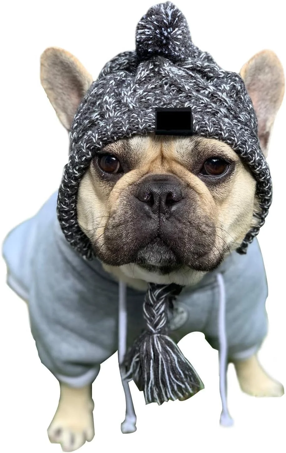 کلاه زمستانی بافتنی شیک سگ KASTWAVE، کلاه ضد باد و گرم کننده گردن برای سگ های کوچک - محافظت راحت گوش در هوای سرد