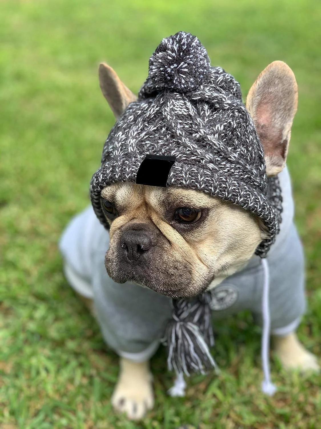 کلاه زمستانی بافتنی شیک سگ KASTWAVE، کلاه ضد باد و گرم کننده گردن برای سگ های کوچک - محافظت راحت گوش در هوای سرد