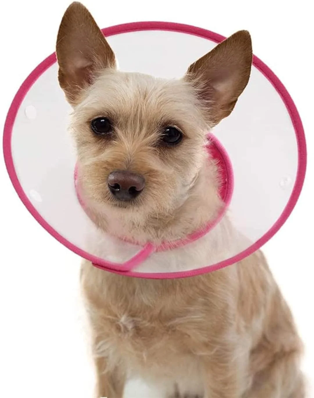 مخروط حیوانات خانگی ELECDON، طوق الیزابتی سبک وزن قابل تنظیم 17 تا 23 سانتی متر برای توله سگ ها، سگ های کوچک و گربه ها، طوق مخروطی گربه ای قابل تنظیم، شفاف و لبه دار (صورتی)