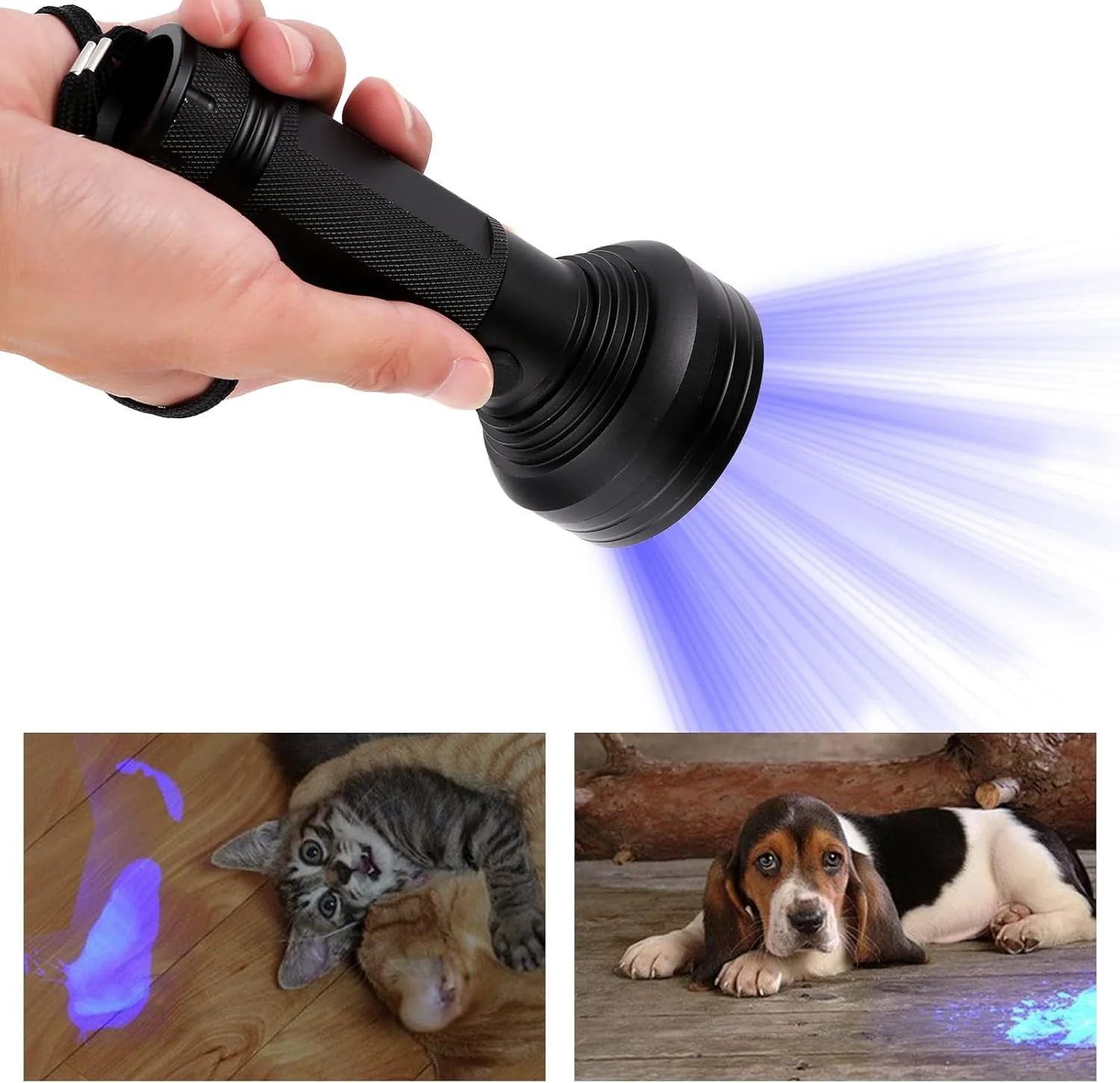 چراغ قوه فرابنفش Eacam - چراغ فرابنفش Eacam با 68 LED و طول موج 395 نانومتر، چراغ قوه کوچک قابل حمل برای تشخیص ادرار سگ/گربه، لکه های خشک چراغ قوه فرابنفش Eacam - چراغ فرابنفش Eacam با 68 LED و طول موج 395 نانومتر، چراغ قوه کوچک قابل حمل برای تشخیص ادرار سگ/گربه، لکه های خشک