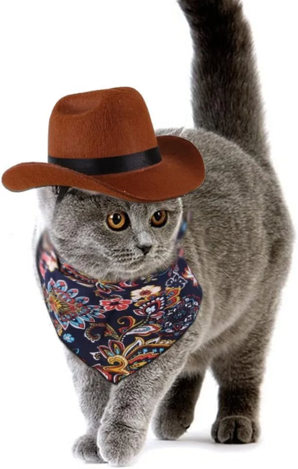 ست دو تکه لباس گاوچران حیوانات خانگی شامل کلاه و دستمال گردن، مناسب سگ و گربه، لباس خنده دار برای مهمانی، نقش آفرینی و استفاده روزانه، سایز کوچک