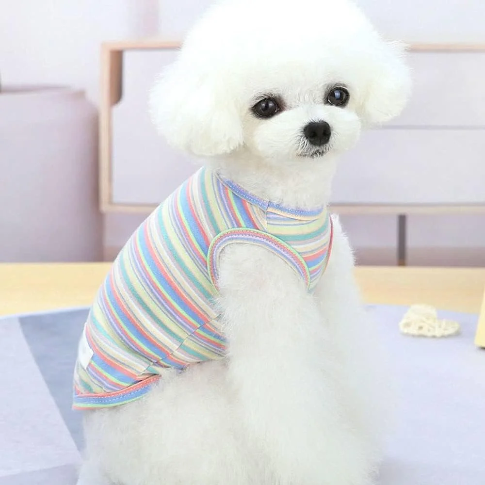 لباس سگ AAZZXSX، جلیقه کلاه دار سگ و گربه با راه راه های رنگارنگ، تاپ بدون آستین سگ و گربه، تیشرت، لباس تابستانی حیوانات خانگی (Hortelã، S)