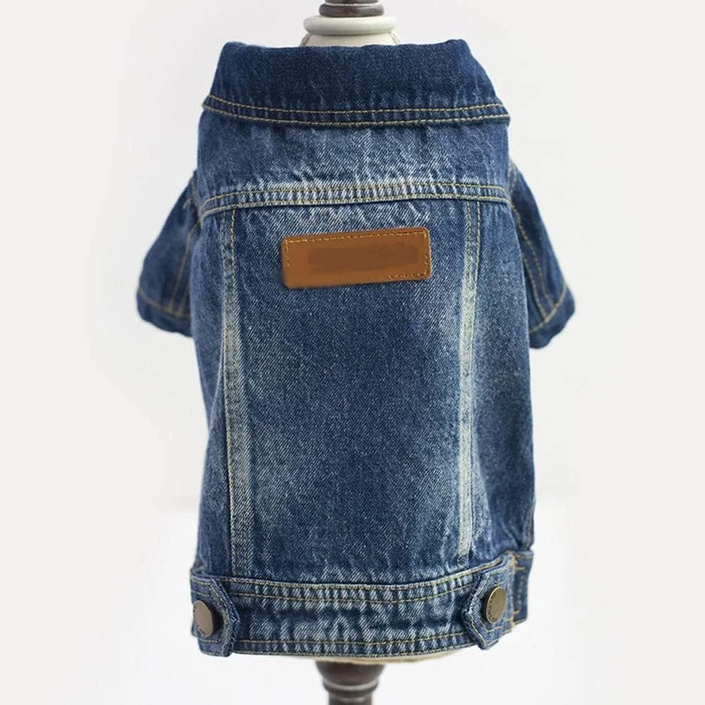 کت جین سگ AAZZXSX، لباس سگ بهاره و پاییزی، کت سگ های کوچک (XXL)