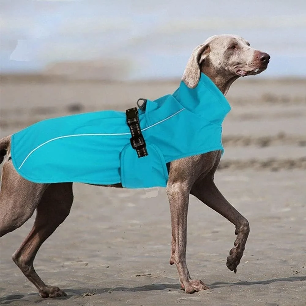 لباس سگ AAZZXSX، بارانی ضد آب سگ خانگی، ژاکت بارانی بازتابنده برای سگ های کوچک و بزرگ، لباس سگ توله سگ در فضای باز، پوشاک سگ خانگی (Hortel, XL)