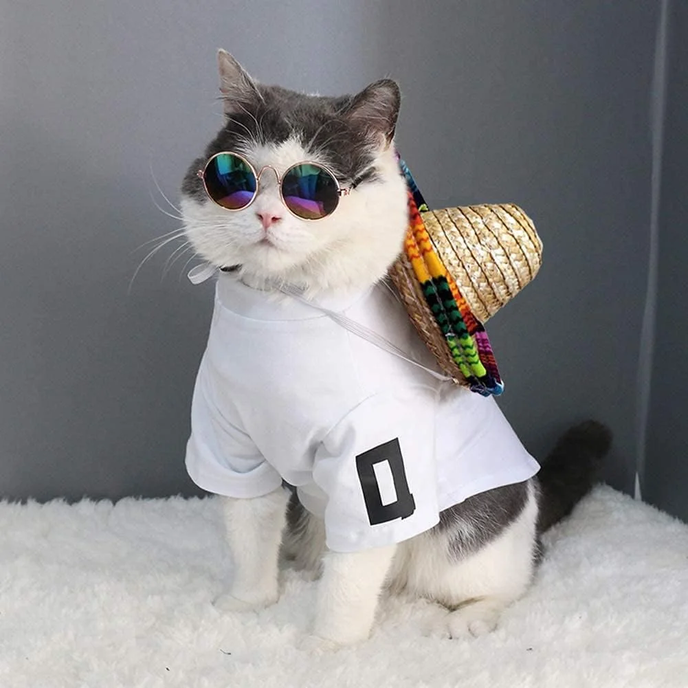 1 اکسسوری حیوانات خانگی، مکزیک، اکسسوری سگ کارناوال، بند حیوانات خانگی با بند چانه قابل تنظیم، مناسب برای حیوانات خانگی کوچک، توله سگ ها، گربه ها، وسایل عکس مهمانی، تولدها