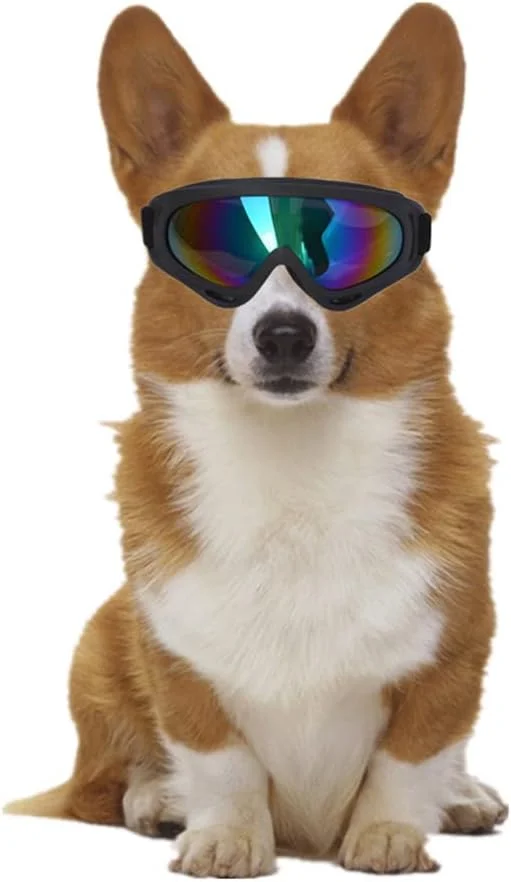 عینک آفتابی بزرگ سگ خانگی، ضد آفتاب، ضد گرد و غبار، ضد آب، عینک مد روز، قابل استفاده برای افراد
