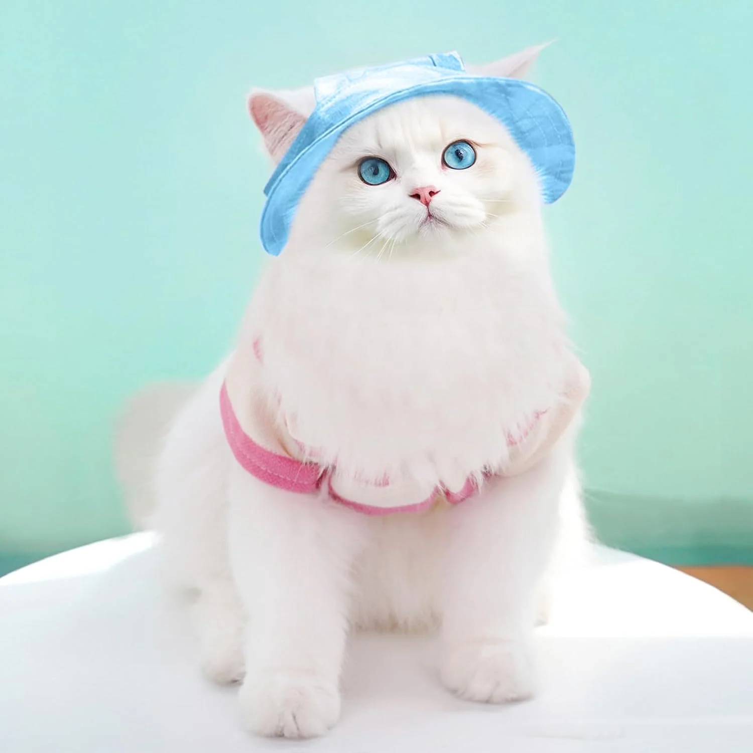 کلاه آفتابگیر قابل تنظیم حیوانات خانگی (برای سگ ها و گربه ها) - کلاه تنفسی ضد اشعه ماوراء بنفش با سوراخ های گوش، سایز M آبی روشن، طراحی ضد لغزش، مناسب برای پیاده روی در فضای باز (برای دور سر 34 سانتی متر) کلاه آفتابگیر قابل تنظیم حیوانات خانگی (برای سگ ها و گربه ها) - کلاه تنفسی ضد اشعه ماوراء بنفش با سوراخ های گوش، سایز M آبی روشن، طراحی ضد لغزش، مناسب برای پیاده روی در فضای باز (برای دور سر 34 سانتی متر)