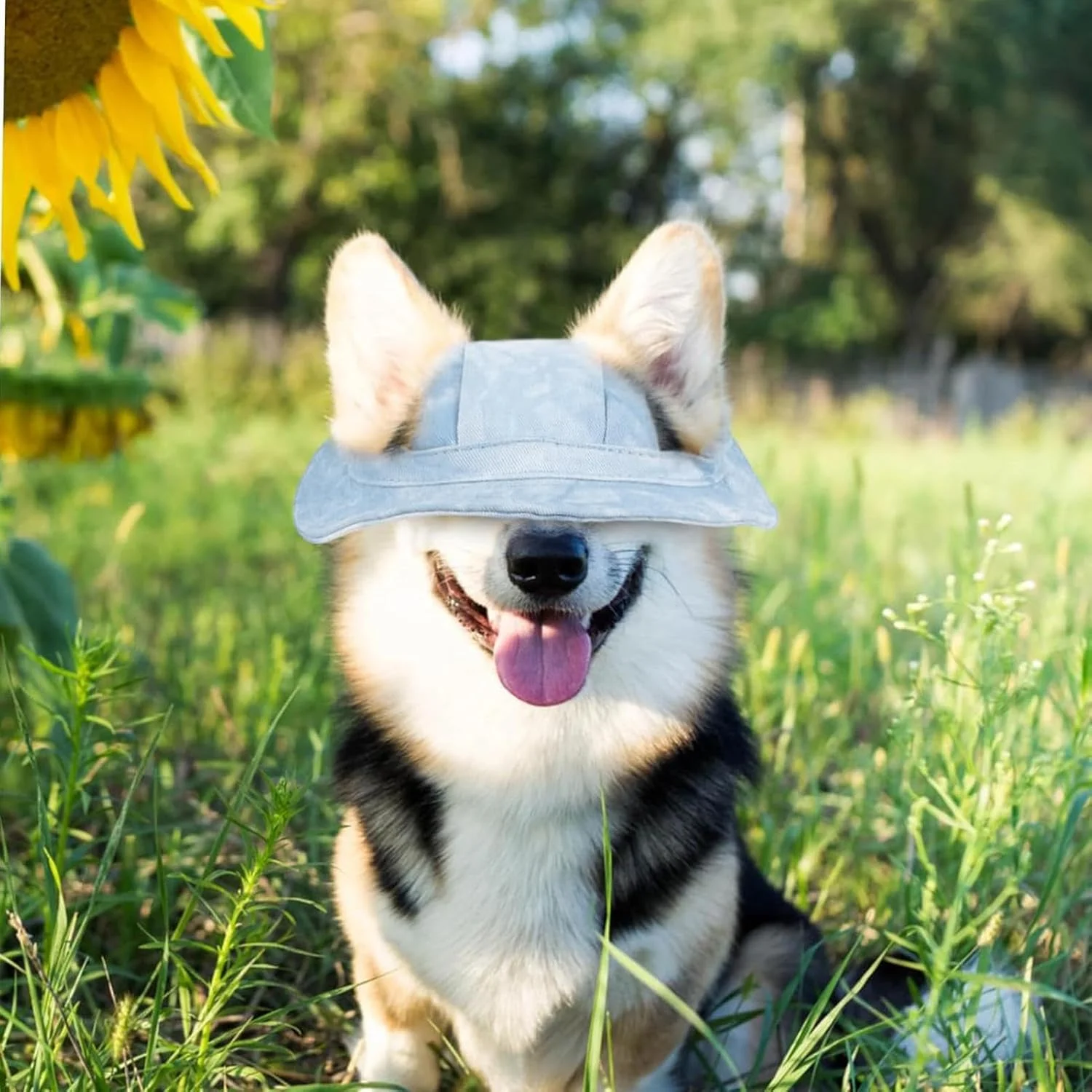 کلاه سطلی سگ | کلاه ماهیگیری قابل تنظیم برای گربه ها، کلاه آفتابی محافظ آفتاب گربه با سوراخ های گوش لوازم جانبی تنفسی حیوانات خانگی برای سگ و توله سگ متوسط