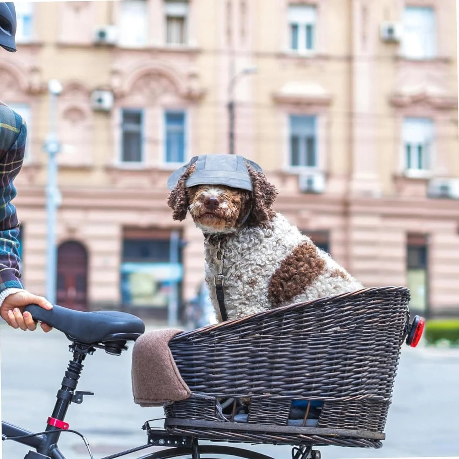 کلاه سطلی سگ | کلاه ماهیگیری قابل تنظیم برای گربه ها، کلاه آفتابی محافظ آفتاب گربه با سوراخ های گوش لوازم جانبی تنفسی حیوانات خانگی برای سگ و توله سگ متوسط