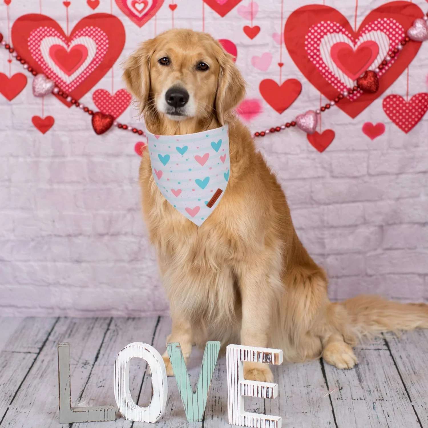 ست 2 عددی دستمال گردن سگ ADOGGYGO طرح روز ولنتاین، دستمال سه گوش دو طرفه سگ به رنگ صورتی و سفید، پارچه بادوام با کیفیت عالی، دستمال گردن حیوانات خانگی برای سگ های بزرگ و خیلی بزرگ (خیلی بزرگ)