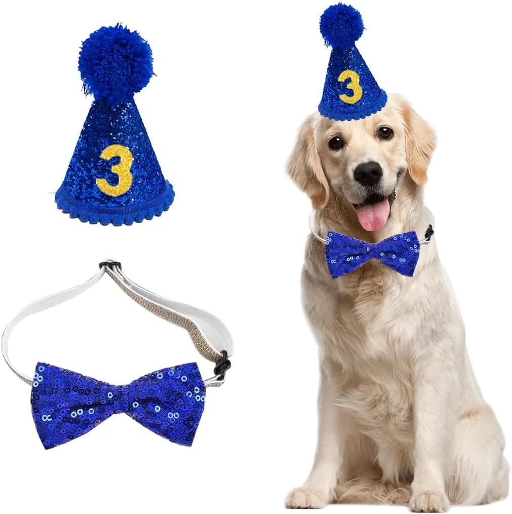 ست تولد سگ شامل کلاه تولد سگ، پاپیون و لوازم جانبی برای جشن تولد سگ