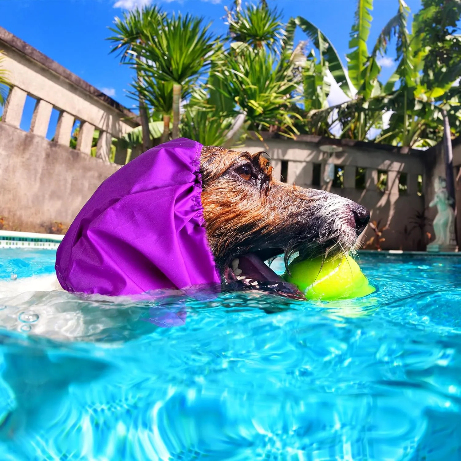 آلیسِت 3 عددی کلاه حمام سگ ضد آب محافظ گوش سگ، هدبند گوش سگ، اسنود سگ، کلاه باران، روکش گوش سگ برای حمام، پوشش گوش سگ برای نمایش باران، 3 رنگ