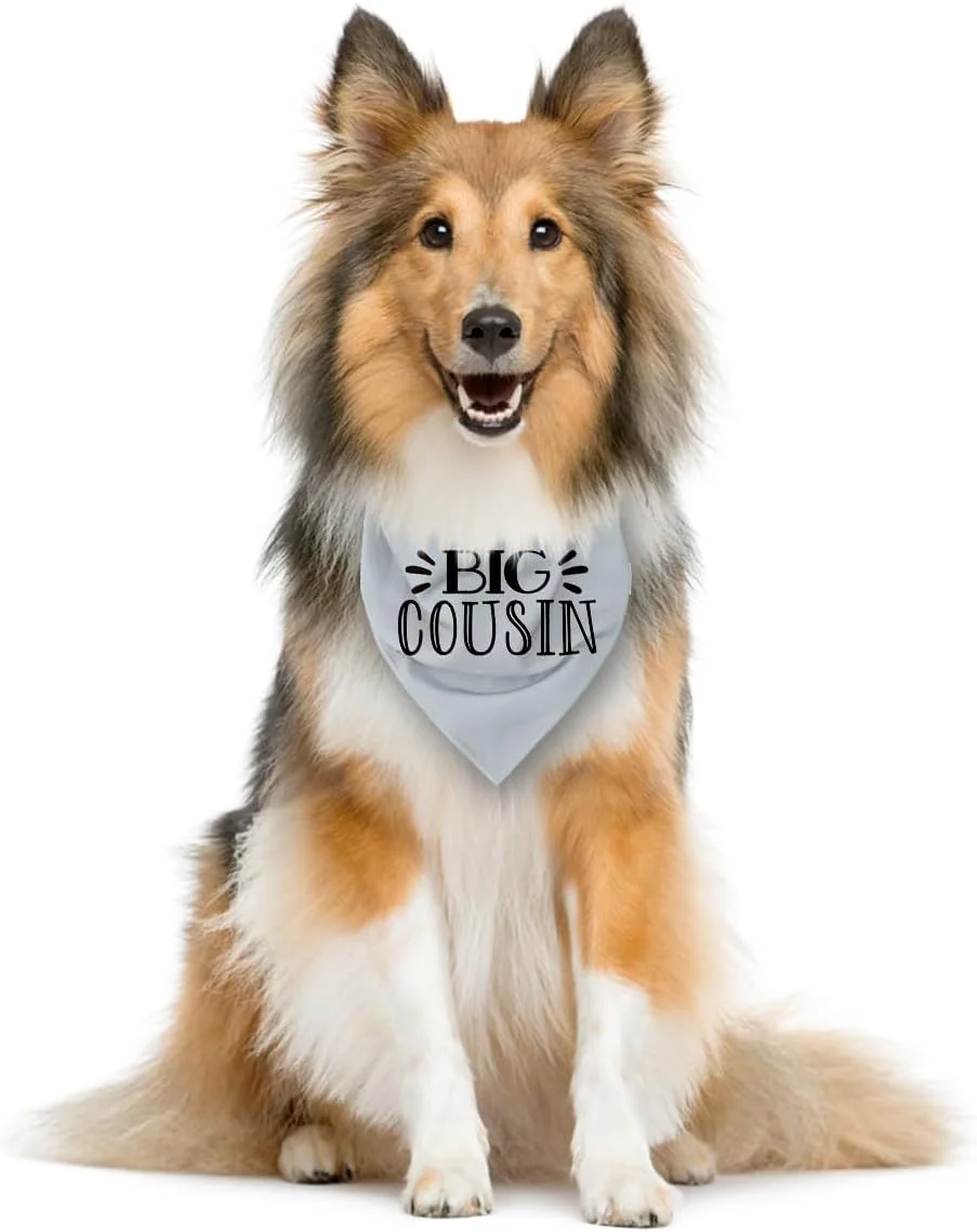 دستمال گردن سگ با طرح اعلامیه بچه، شال تزئینی برای عکس بارداری، لوازم جانبی شال حیوانات خانگی برای سگ ها و گربه های کوچک و متوسط، دستمال گردن خاکستری سگ