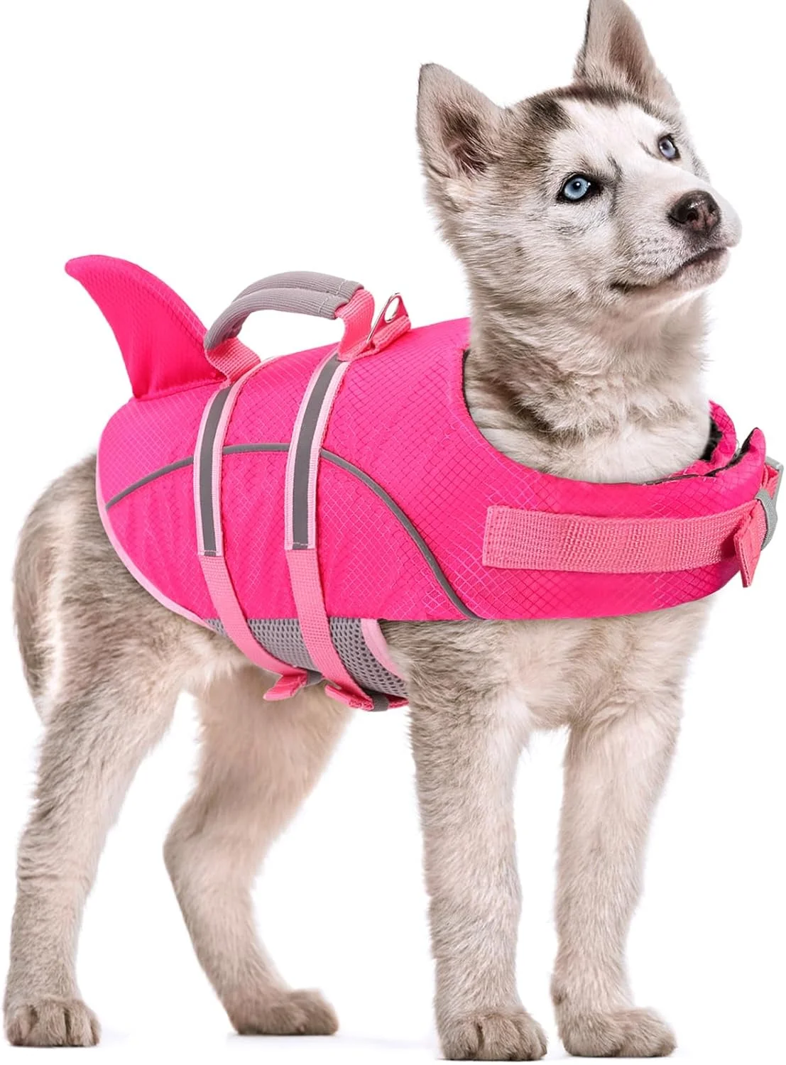 جلیقه نجات سگ AOFITEE سایز متوسط، جلیقه شنای سگ طرح کوسه برای قایق سواری و شنا، جلیقه شنای بازتابنده سگ با شناوری بالا، جلیقه نجات حیوانات خانگی با دسته نجات برای حیوانات خانگی متوسط (صورتی M)