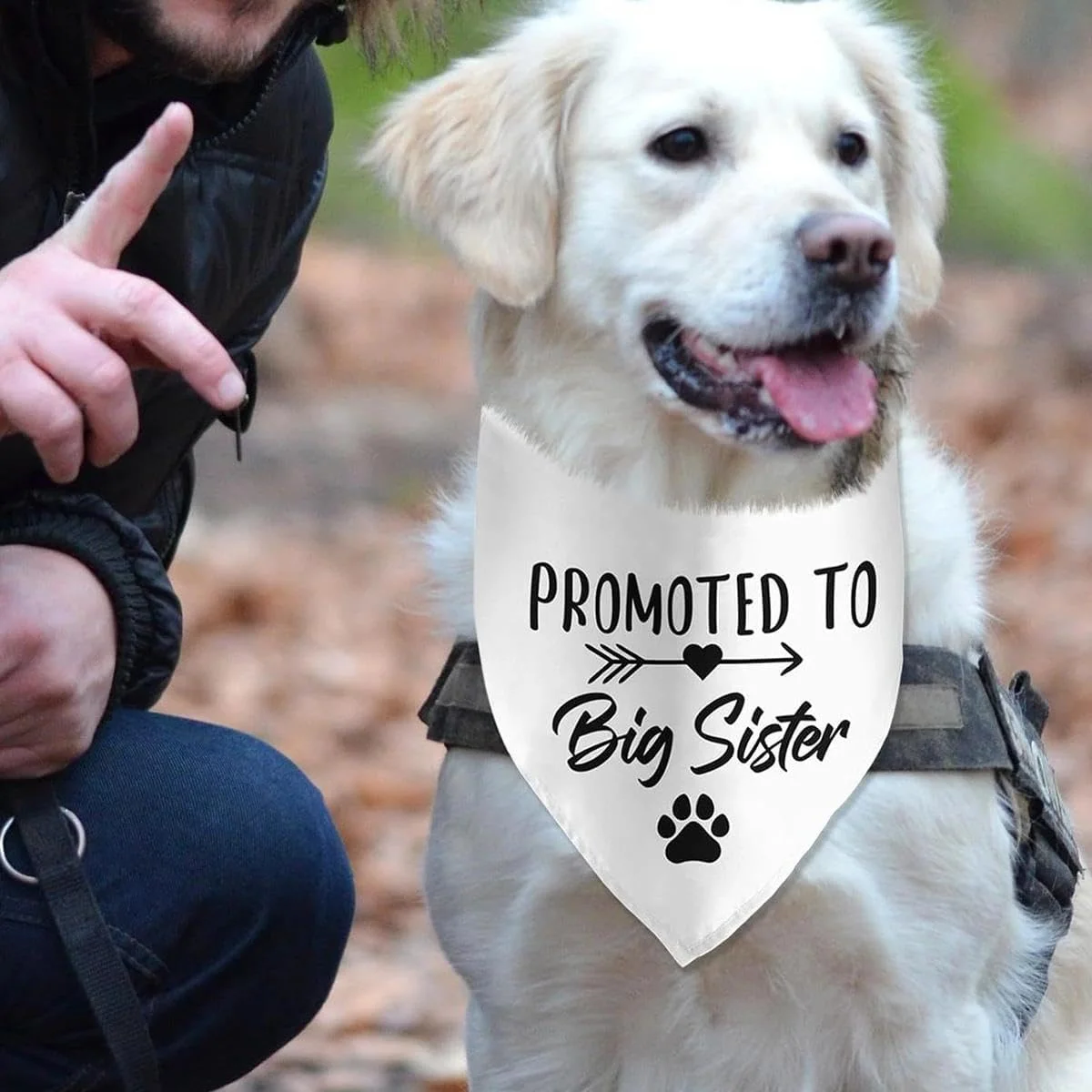 یک عدد دستمال گردن سگ و حیوانات خانگی، مناسب سگ های کوچک، متوسط و بزرگ. این دستمال گردن های مخصوص توله سگ، انتخابی عالی برای هدیه دادن به دوستان و خانواده و صاحبان سگ هستند.