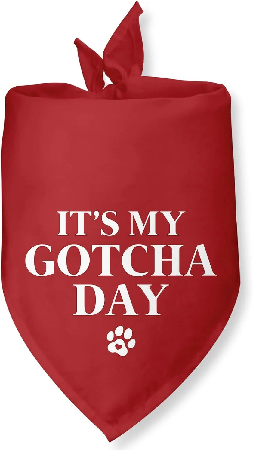 دستمال گردن سگ با طرح روز پذیرش، دستمال گردن سگ برای پذیرش، اعلام پذیرش سگ، شال حیوانات خانگی برای سگ ها و گربه های کوچک و متوسط