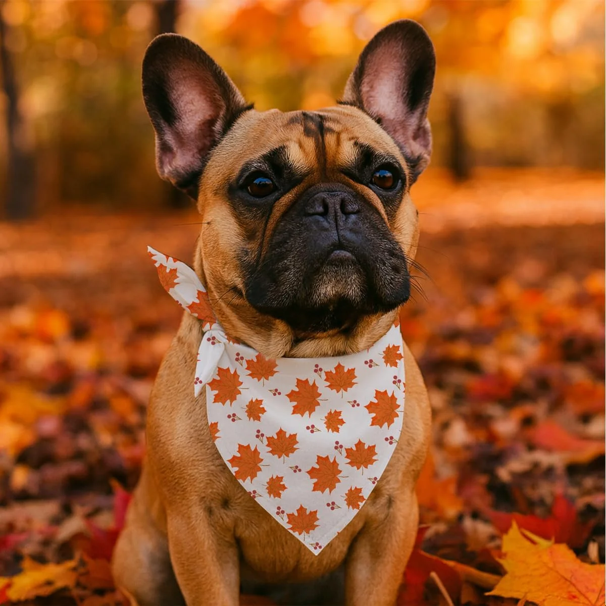 دستمال گردن سگ طرح برگ های پاییزی سفید، مناسب سگ های کوچک و متوسط، روسری مثلثی زیبا برای سگ های دختر و پسر، هدیه شیک برای روز شکرگزاری دستمال گردن سگ طرح برگ های پاییزی سفید، مناسب سگ های کوچک و متوسط، روسری مثلثی زیبا برای سگ های دختر و پسر، هدیه شیک برای روز شکرگزاری