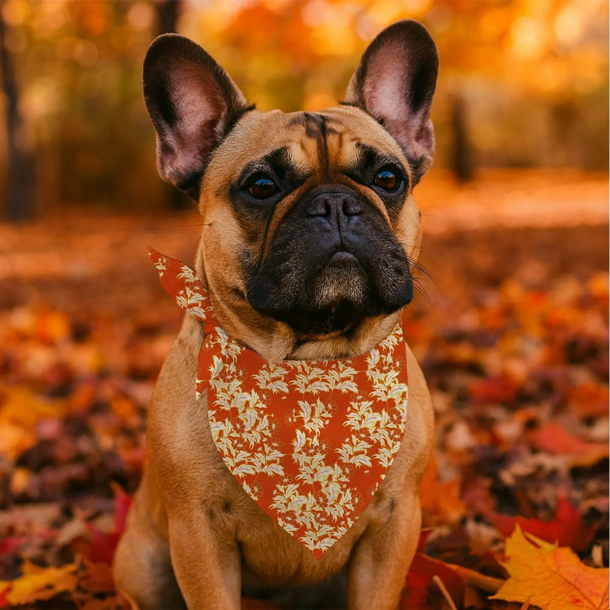 دستمال گردن سگ طرح گل نارنجی مناسب سگ های کوچک و متوسط، دستمال گردن مثلثی حیوانات خانگی طرح گل زیبا، روسری و دستمال سر برای سگ های دختر و پسر، هدیه شیک برای حیوانات خانگی دستمال گردن سگ طرح گل نارنجی مناسب سگ های کوچک و متوسط، دستمال گردن مثلثی حیوانات خانگی طرح گل زیبا، روسری و دستمال سر برای سگ های دختر و پسر، هدیه شیک برای حیوانات خانگی