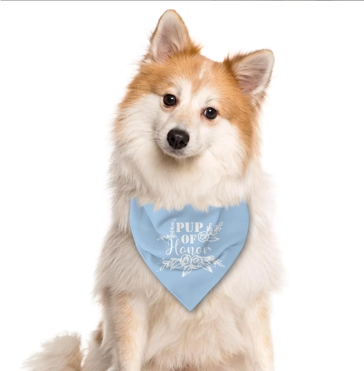 دستمال گردن سگ طرح "Pup of Honor"، روسری آبی سگ، دستمال گردن حیوانات خانگی طرح "Maid of Honor"، روسری راحت سگ برای سگ های کوچک، متوسط و بزرگ، لوازم جانبی حیوانات خانگی هدیه برای دوستداران سگ