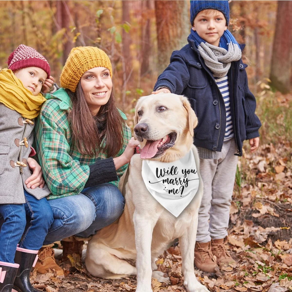 دستمال گردن سگ با طرح ازدواج، دستمال گردن سفید سگ، شال حیوانات خانگی نامزدی، دستمال گردن پارچه ای راحت برای سگ های کوچک، متوسط و بزرگ، لوازم جانبی دستمال گردن سگ برای عروسی دستمال گردن سگ با طرح ازدواج، دستمال گردن سفید سگ، شال حیوانات خانگی نامزدی، دستمال گردن پارچه ای راحت برای سگ های کوچک، متوسط و بزرگ، لوازم جانبی دستمال گردن سگ برای عروسی