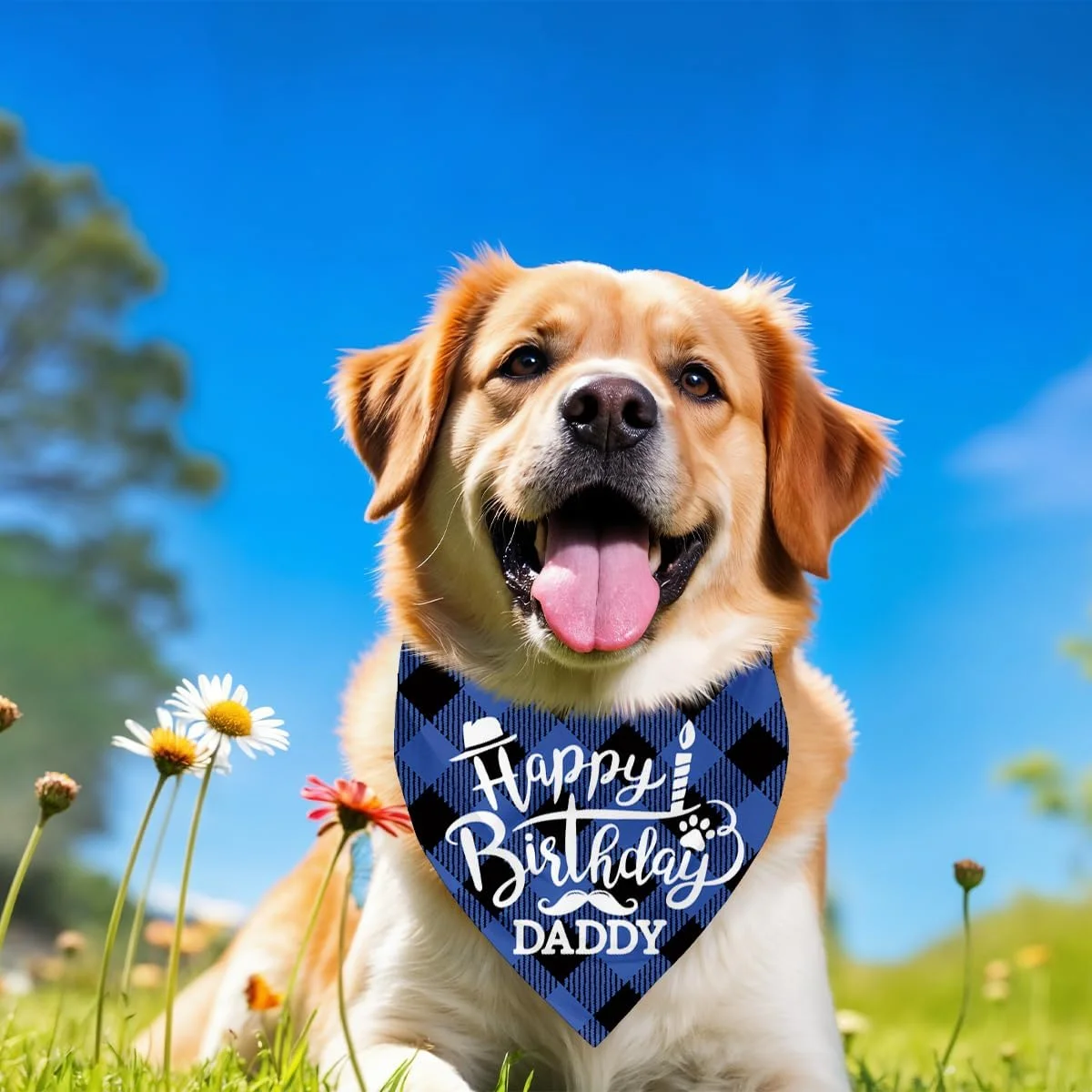 دستمال گردن سگ، دستمال گردن سگ طرح تولدت مبارک پدر، شال سگ با طرح چهارخانه آبی کلاسیک، شال گردن حیوانات خانگی، لوازم جانبی شال حیوانات خانگی، هدیه دستمال گردن سگ برای جشن تولد پدر H2 دستمال گردن سگ، دستمال گردن سگ طرح تولدت مبارک پدر، شال سگ با طرح چهارخانه آبی کلاسیک، شال گردن حیوانات خانگی، لوازم جانبی شال حیوانات خانگی، هدیه دستمال گردن سگ برای جشن تولد پدر H2